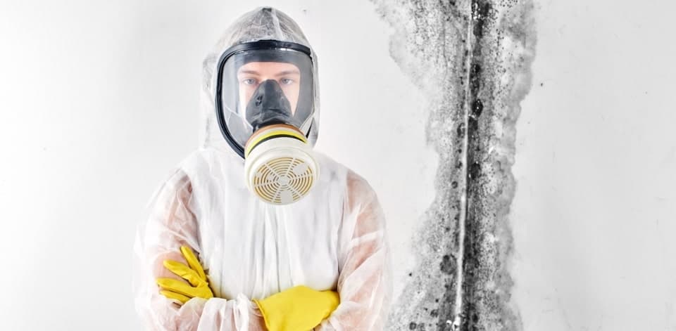 Mould removal specialist treating a mould-affected wall