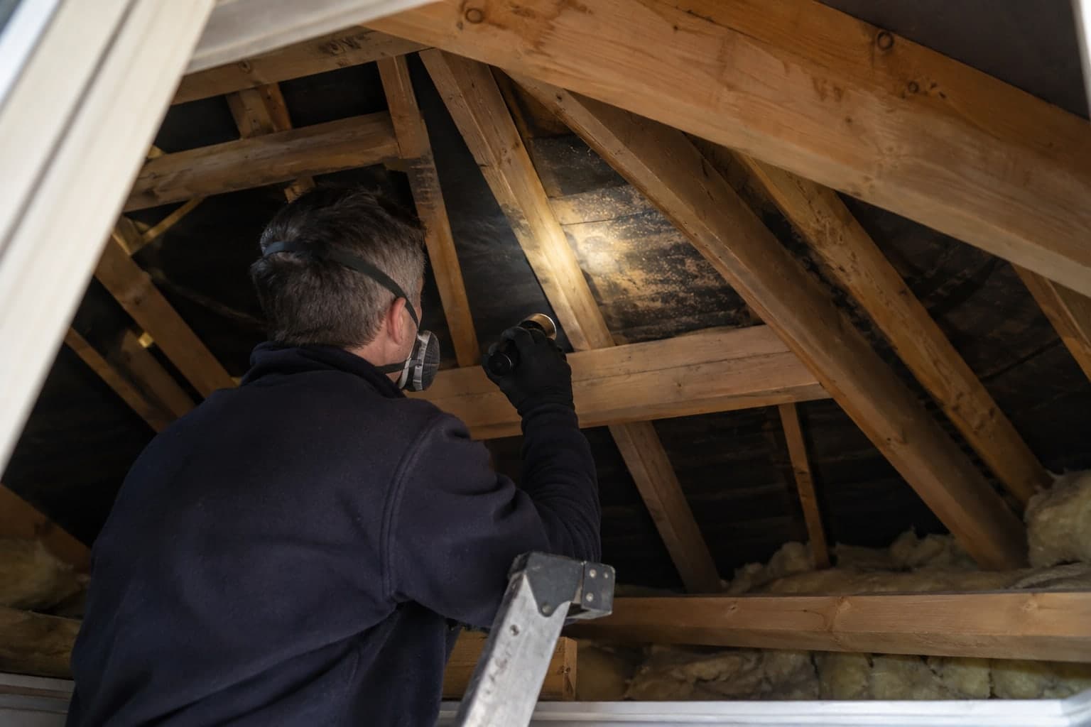 Loft and Roof Space Mould: The Causes Landlords Miss