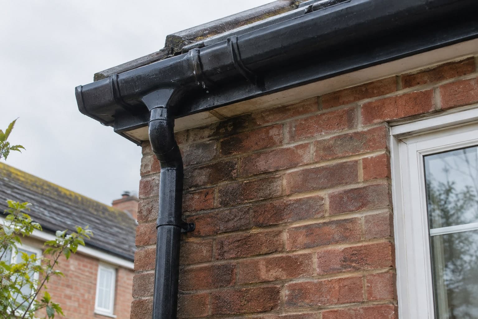 What Causes Mould in a House and How to Stop It Coming Back